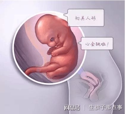 关于木棉医疗中心